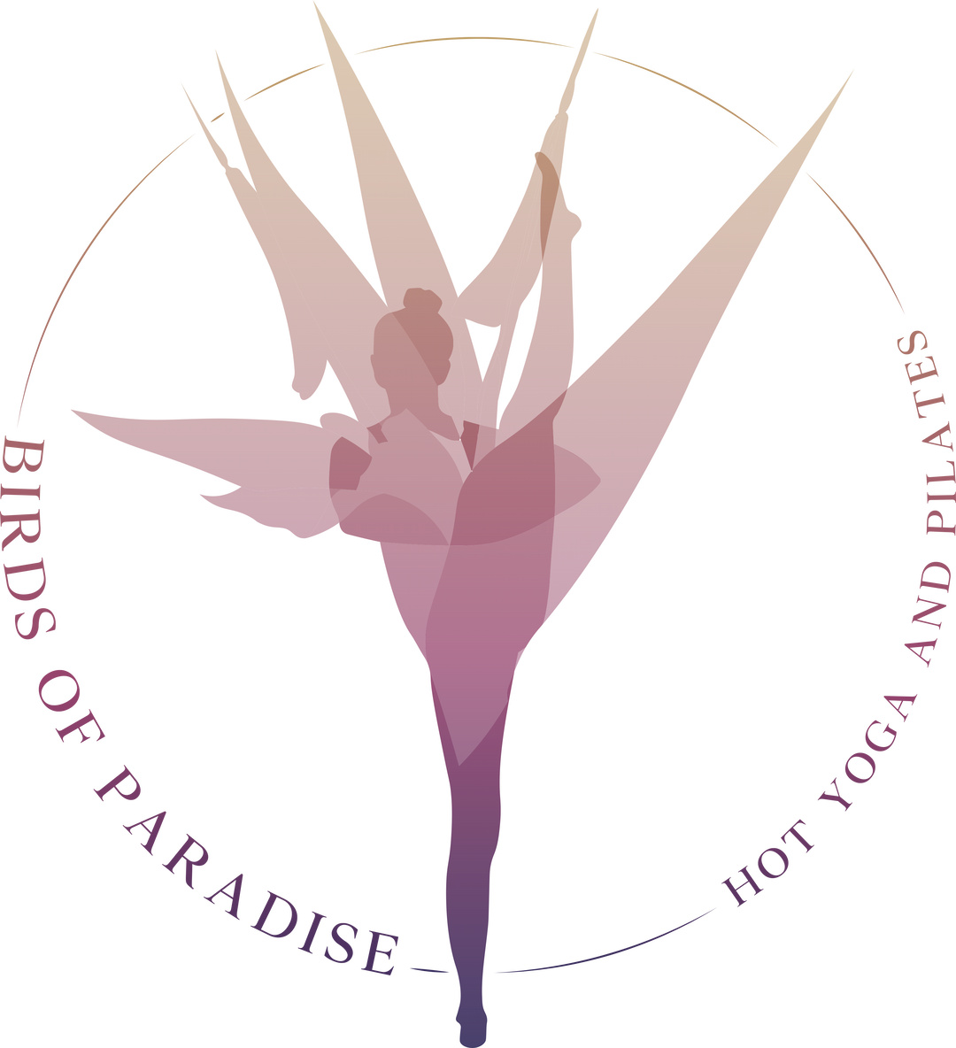 Birds of Paradise